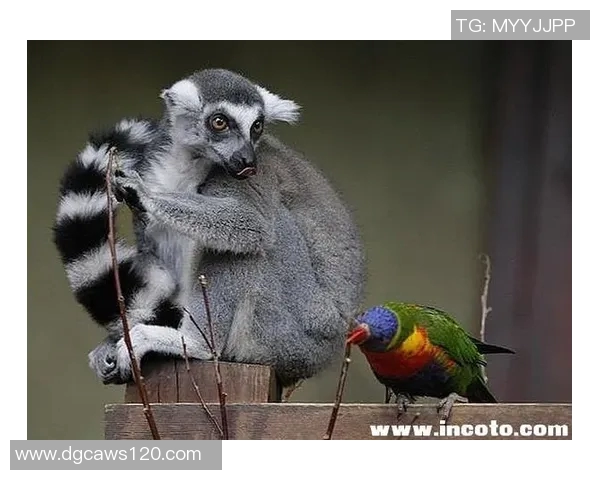 足球球星与可爱宠物同框合影展现温馨一幕 美女抱狗甜美瞬间吸引目光